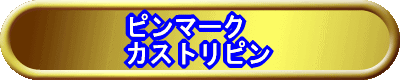 ピンマーク関連 カストリピン